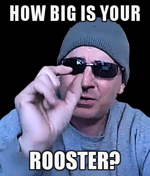 Name:  rooster.jpg
Views: 475
Size:  74.2 KB