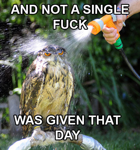 Name:  and-not-a-single-penetrate-was-given-that-day-owl.jpg
Views: 534
Size:  102.1 KB