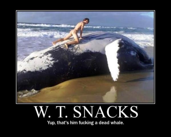 Name:  wt-snacks-penetrating-a-dead-whale.jpg
Views: 1003
Size:  31.2 KB