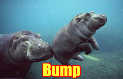 Name:  Bump_hippo.jpg
Views: 352
Size:  26.7 KB
