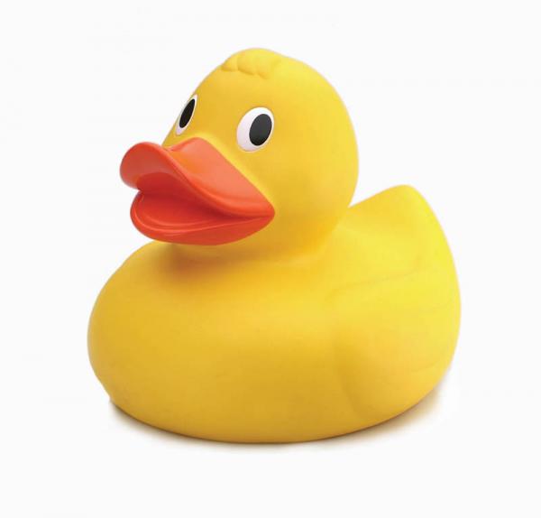 Name:  rubber-duck.jpg
Views: 117
Size:  14.3 KB