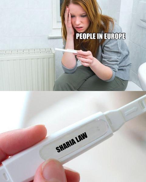 Click image for larger version

Name:	G10qEEobYAAnnRx.jpg
Views:	31
Size:	29.1 KB
ID:	29906439