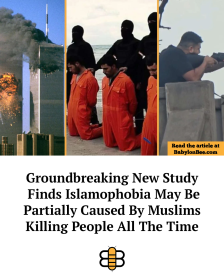 Click image for larger version

Name:	image.png
Views:	23
Size:	78.5 KB
ID:	29915880