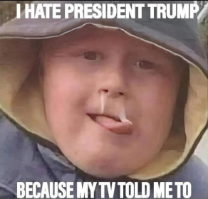 Click image for larger version

Name:	image.png
Views:	27
Size:	109.9 KB
ID:	29922435