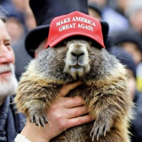 Click image for larger version  Name:	image.png Views:	0 Size:	161.7 KB ID:	29922451