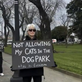 Click image for larger version

Name:	image.png
Views:	0
Size:	135.4 KB
ID:	29923473