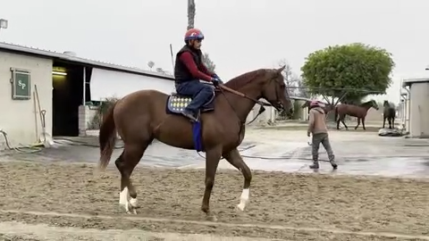 Click image for larger version

Name:	image.png
Views:	0
Size:	188.1 KB
ID:	29933661