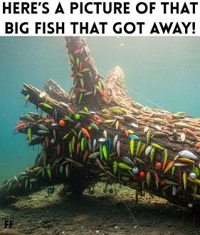 Click image for larger version

Name:	FB_IMG_1782409175729.jpg
Views:	68
Size:	54.0 KB
ID:	29942341