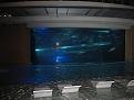 Click image for larger version

Name:	IMG_2442.jpg
Views:	119
Size:	56.3 KB
ID:	29095952