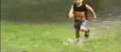 Click image for larger version

Name:	funny-animated-gifs-playful-dog.gif
Views:	184
Size:	1.72 MB
ID:	29104616