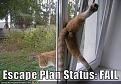 Click image for larger version

Name:	funny-pictures-escape-plan-fail.jpg
Views:	186
Size:	43.2 KB
ID:	29104617
