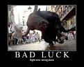 Click image for larger version

Name:	Bad Luck.jpg
Views:	89
Size:	40.1 KB
ID:	29106769