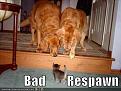 Click image for larger version

Name:	Bad Respawn.jpg
Views:	83
Size:	27.8 KB
ID:	29106770