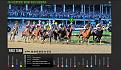 KY Derby 2014 - first turn.jpg