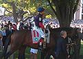 IMAG7503-1.jpg