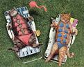 Click image for larger version

Name:	CatsSunbathing.jpg
Views:	61
Size:	61.1 KB
ID:	29136246